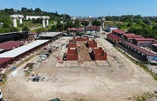 Ordu’da sokak hayvanlarına modern yaşam alanı