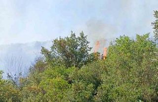 Orhangazi’deki yangına havadan ve karadan müdahale...