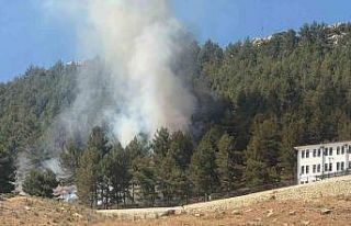 Ormanlık alanda çıkan yangın korkuttu