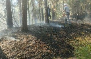 Ormanlık alandaki örtü yangını zamanında müdahaleyle...