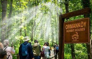 Ormanya’da yaz hazırlıkları tamamlandı