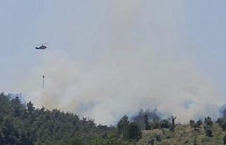 Osmaniye’de çıkan orman yangını söndürüldü