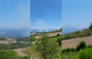 Osmaniye’de orman yangını başladı