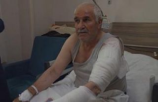 Ot biçen vatandaş kurdun saldırısına uğradı