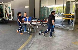 Otomobil ağaca çarptı, yaşlı çift yaralandı