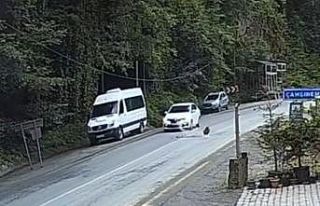 Otomobil düşen kayadan saniyelerle kurtuldu