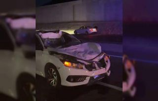 Otomobil yola çıkan ineğe çarptı: 3 yaralı