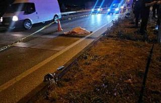 Otomobilin çarptığı yaşlı kadın hayatını...