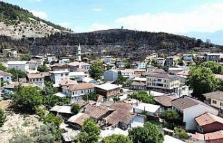 (Özel) Zümrüt yeşili orman manzaraları kömürlüğe...