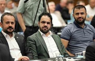 Özer, "Yalova’daki kamu çalışanlarının...