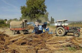Patos vururken dikkatli olunmalı!