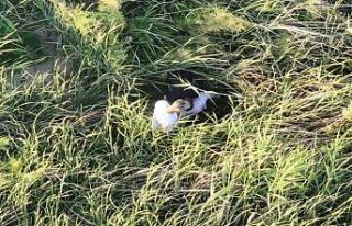 Polis kontrolünden kaçarken yol kenarına attıkları...