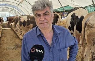 Polisten kurban pazarında sahte para ve dolandırıcılık...