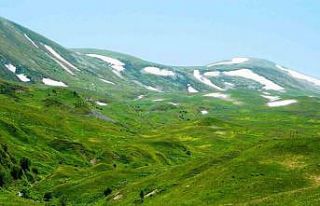 Posof’ta yayla mevsimi başladı