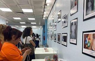 Prof. Dr. Dalgıç: "Aileler, özellikle 8 ve...