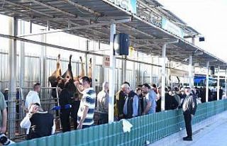 -Pursaklar Belediyesi’nden çevrim içi kurban kesimi