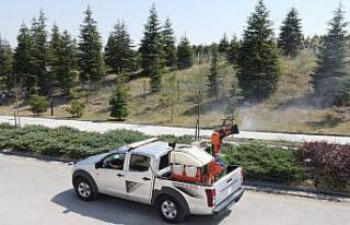 Pursaklar Belediyesi’nden haşerelere karşı mücadele