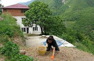 Reklam, sinema ve dizi alanlarında çeşitli projelerde...