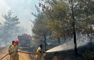 Sakarya’da başlayan orman yangını Osmaneli’ne...
