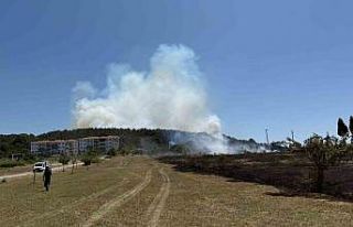 Sakarya’da depoda çıkan yangın ormana sirayet...