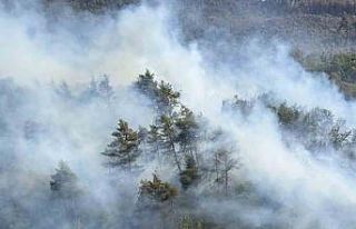 Sakarya’da ormanda yeniden yükselen alevlere havadan...