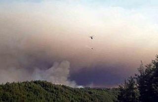 Sakarya’da ormanlık alanda çıkan yangına havadan...