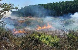 Sakarya’da ormanlık alanda yangın: Ekipler seferber...