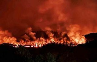 Sakarya’daki orman yangını havadan görüntülendi