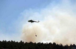 Sakarya’daki ormanlık alanda yangın: Havadan ve...