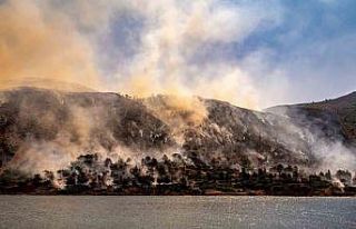 Sakız Adası’ndaki yangınla ilgili 1 kişi gözaltına...