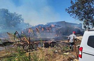 Saman alevi 2 kamyon ile 4 römorku yaktı