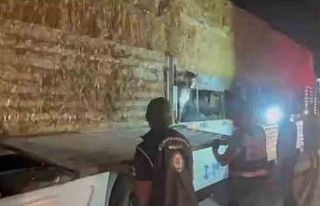 Saman balyalarının altına saklanan 31 kaçak göçmen...