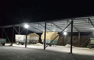 Samanlıkta düğün yapan Buldanlılardan Başkana...