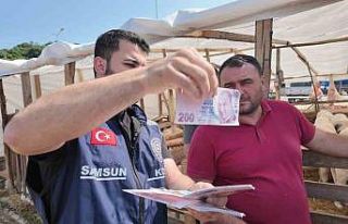 Samsun polisi hayvan pazarlarında sahte paraya karşı...