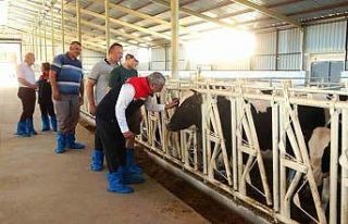 Samsun’da ari işletme sayısı 10’a yükseldi