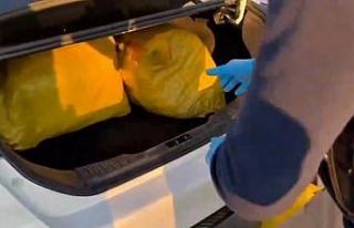 Şanlıurfa’da 35 kilogram skunk ele geçirildi:...