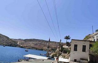 Şanlıurfa’da Afrika’yı aratmayan görüntü:...