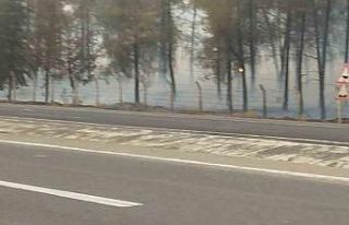 Şanlıurfa’da orman yangını: Alevlerin petrol...