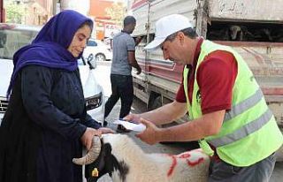 Şanlıurfa’da yetim ailelere canlı kurbanlık...