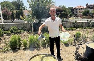 Sarıgöl’de bağlarda kesilen koruklar ekonomiye...