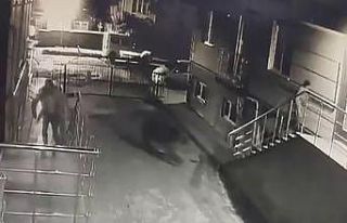 Sarıkamış’ta ayı vatandaşlardan, vatandaşlar...