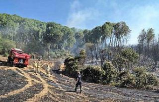 Şarköy’de tarlada çıkan yangın makilik alana...