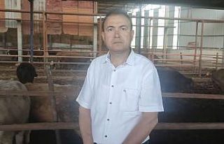 Sattığı kurbanlık dananın fotoğrafını çekerken...