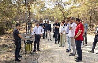 Seçer, Emirler Orman Parkı Piknik Alanında incelemelerde...