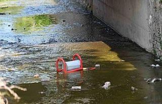 Şehir magandaları iş başında