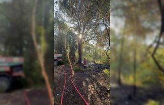 Serik’te sabah saatlerinde çıkan orman yangını...