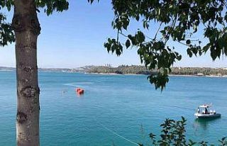 Seyhan Baraj Gölü’ne düşen yangın söndürme...