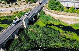 Şeytan Deresi yosun tuttu