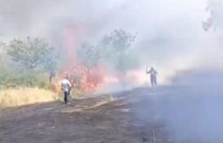 Siirt’te çay için yakılan ateş fıstık ağaçlarını...