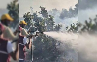 Siirt’te çıkan örtü yangını söndürüldü